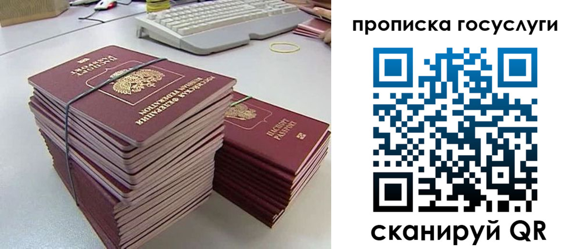 временная регистрация для школы в Светлогорске